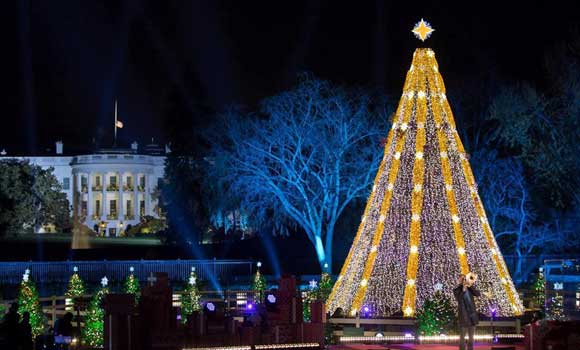 Lights Christmas tree